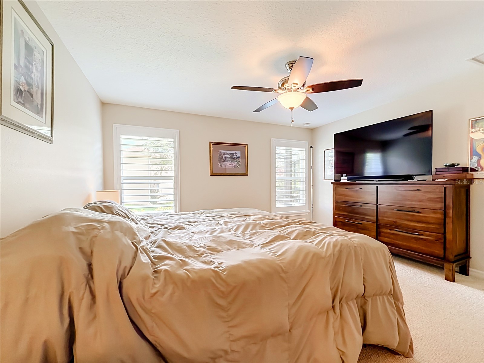 27132 Roanoke Drive Leesburg FL 34748 O6413416 image31