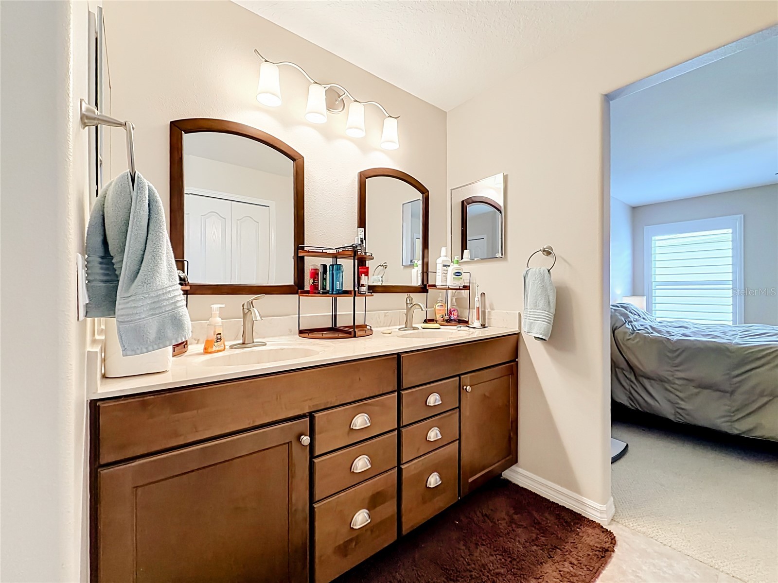 27132 Roanoke Drive Leesburg FL 34748 O6413416 image33