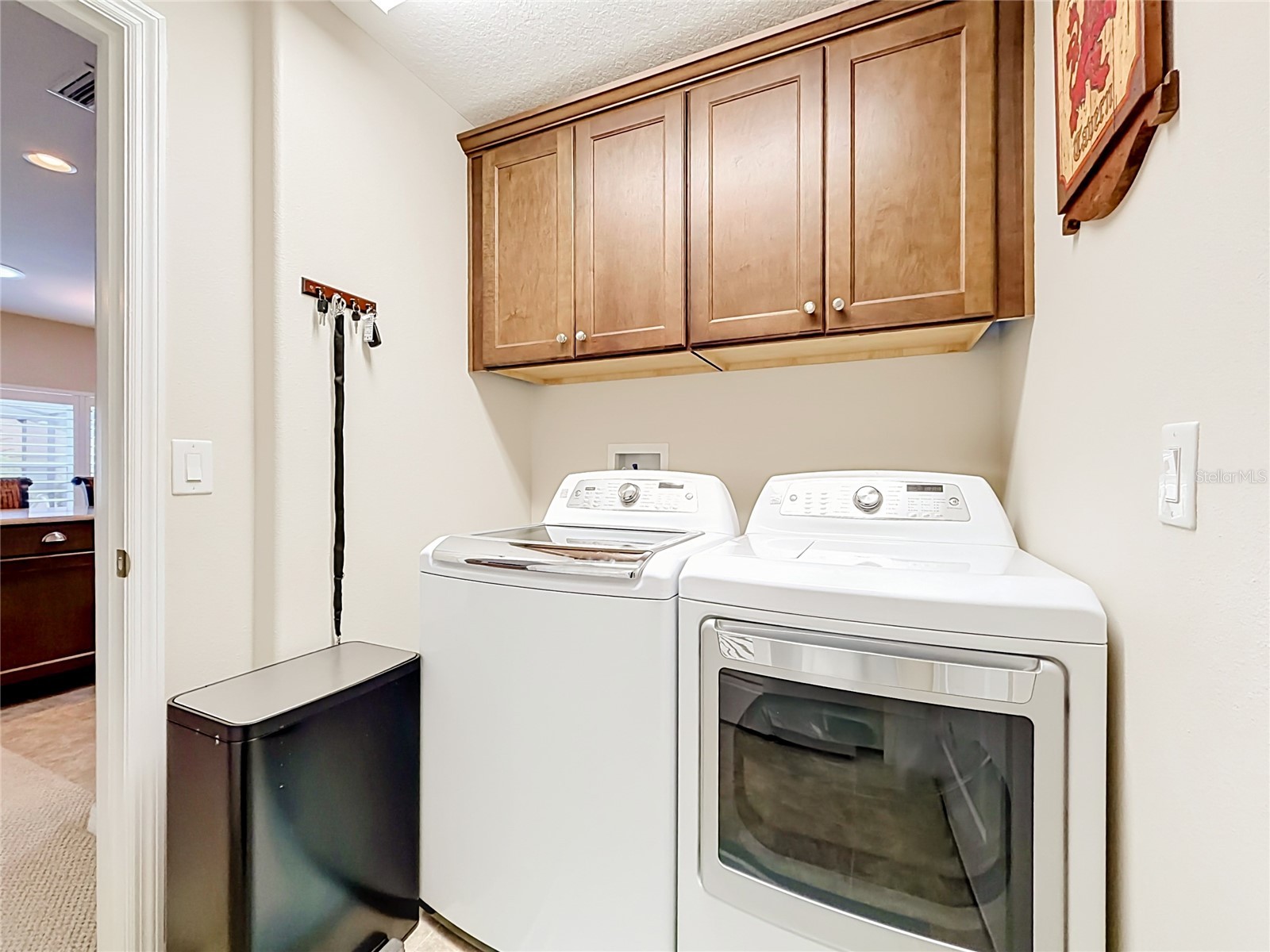 27132 Roanoke Drive Leesburg FL 34748 O6413416 image38