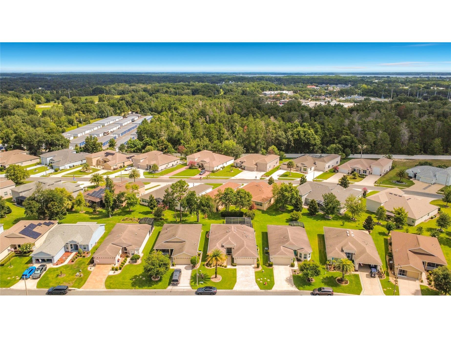 27132 Roanoke Drive Leesburg FL 34748 O6413416 image58