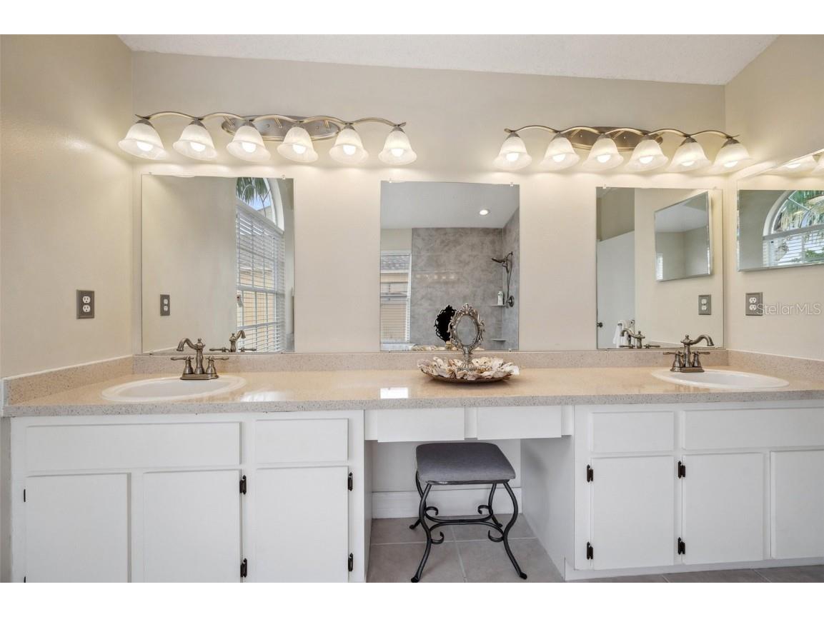 27133 Sea Breeze Way Wesley Chapel FL 33544 TB8393574 image28