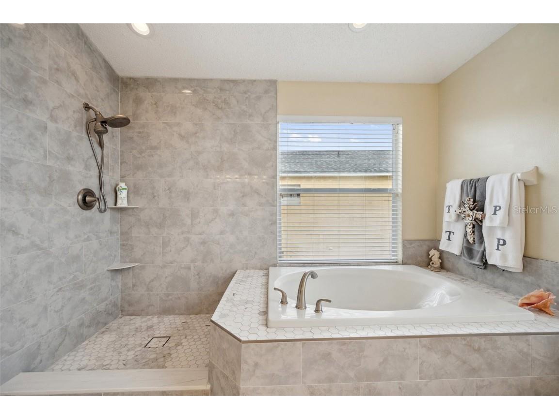 27133 Sea Breeze Way Wesley Chapel FL 33544 TB8393574 image30