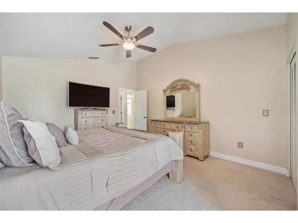 27133 Sea Breeze Way Wesley Chapel FL 33544 TB8393574 image36