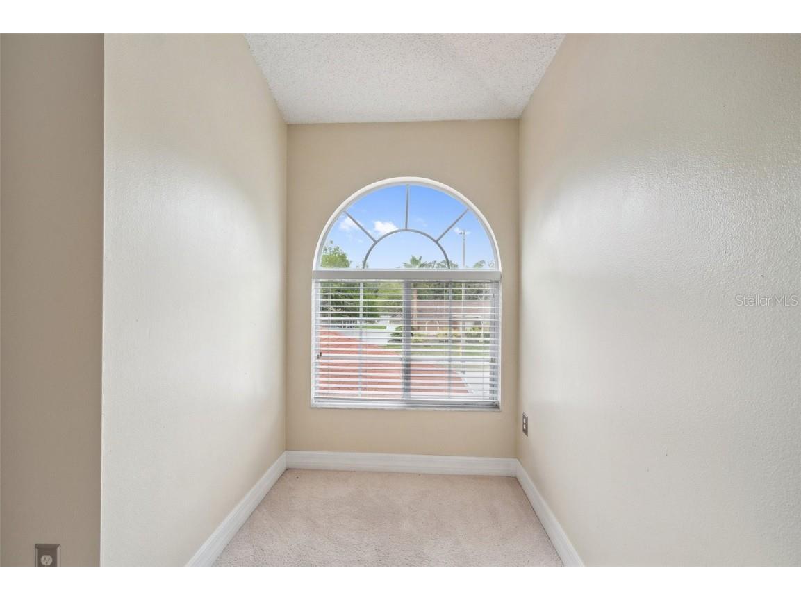 27133 Sea Breeze Way Wesley Chapel FL 33544 TB8393574 image38