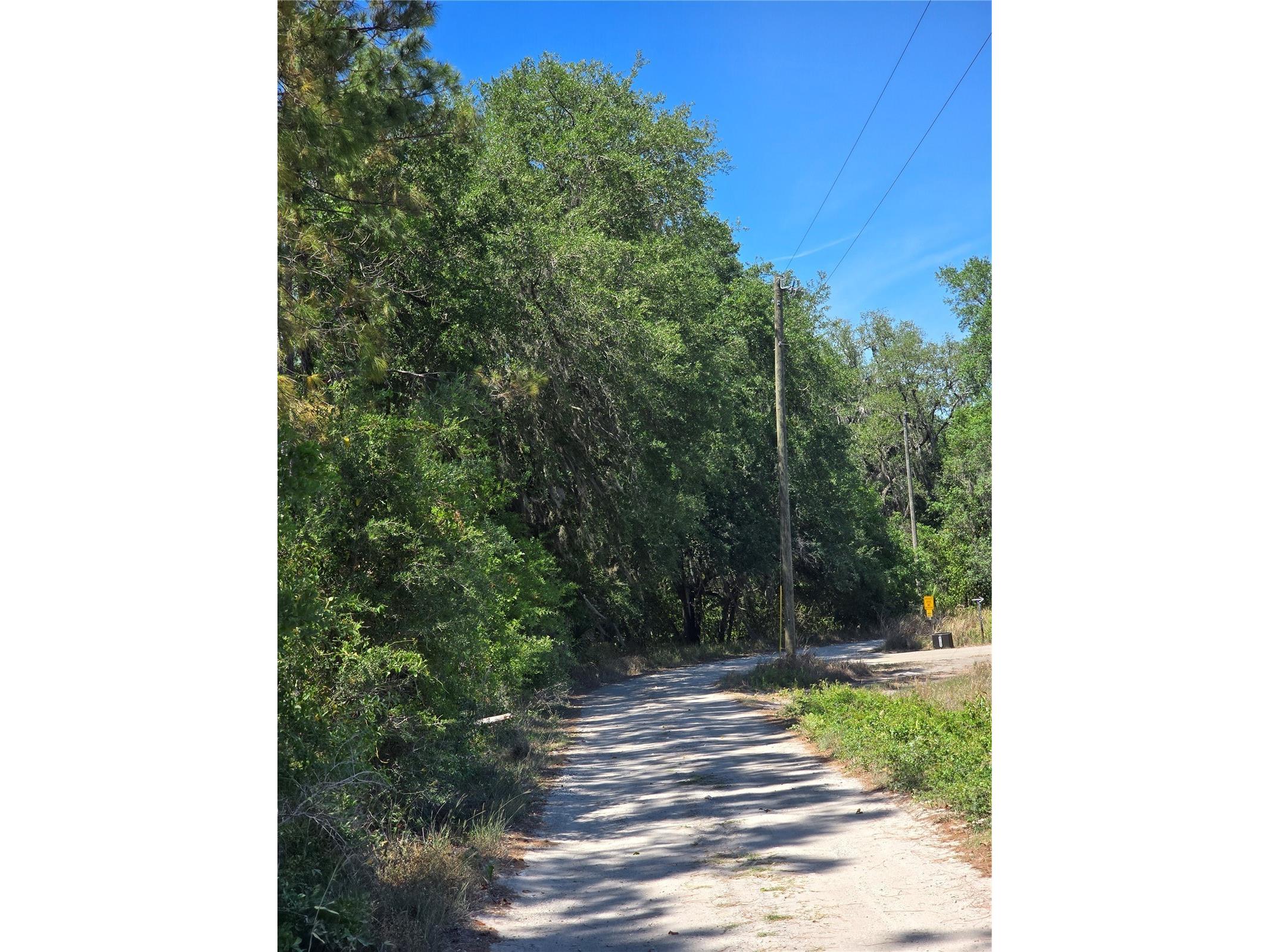 27137 Miller Road Dade City FL 33525 L4961401 image13