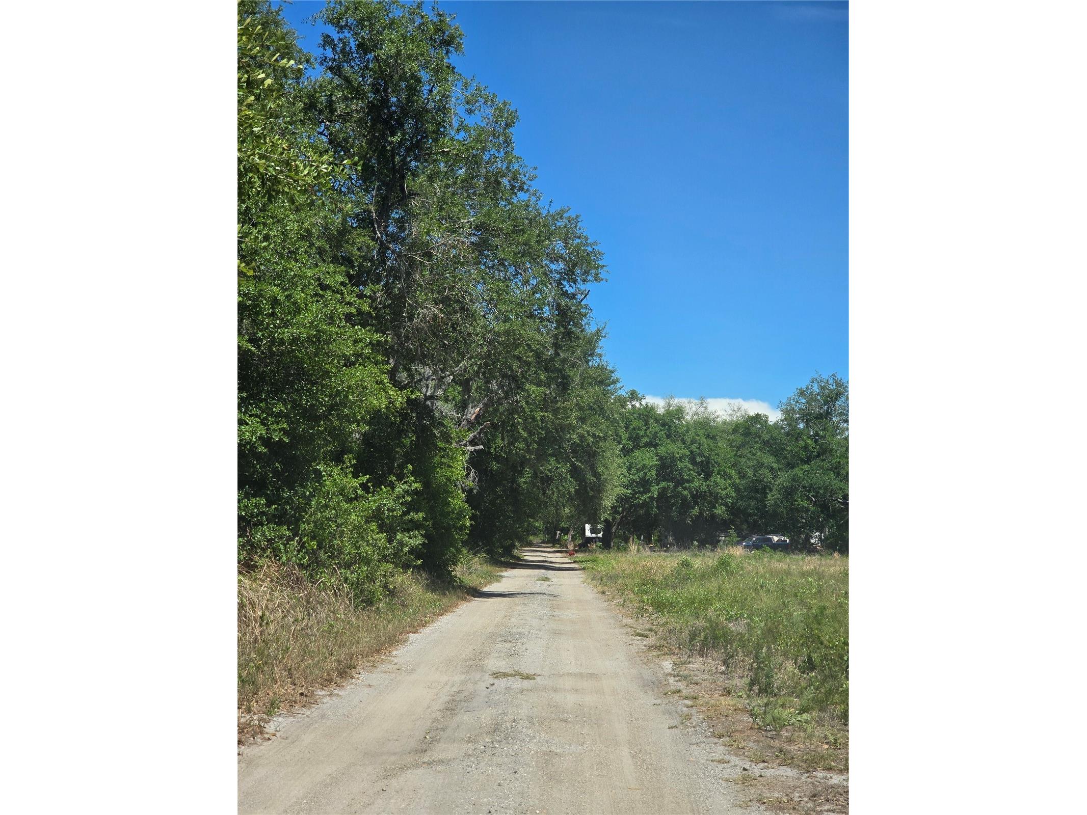 27137 Miller Road Dade City FL 33525 L4961401 image14