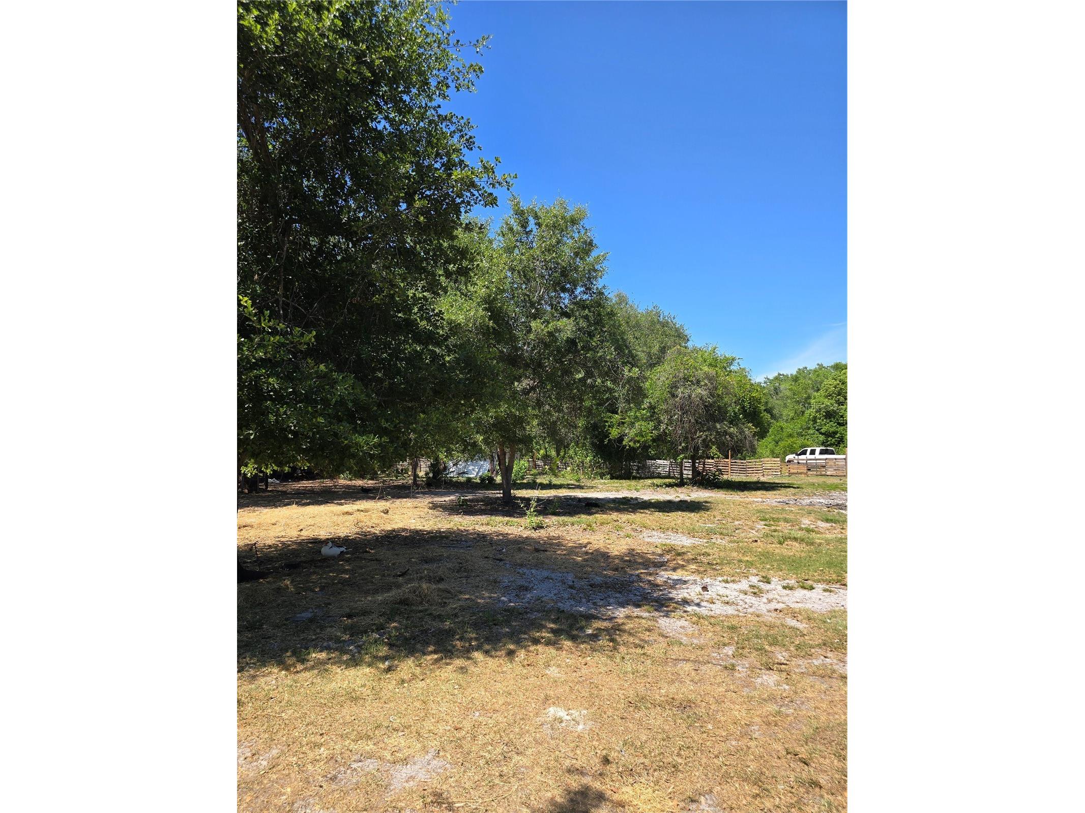 27137 Miller Road Dade City FL 33525 L4961401 image18