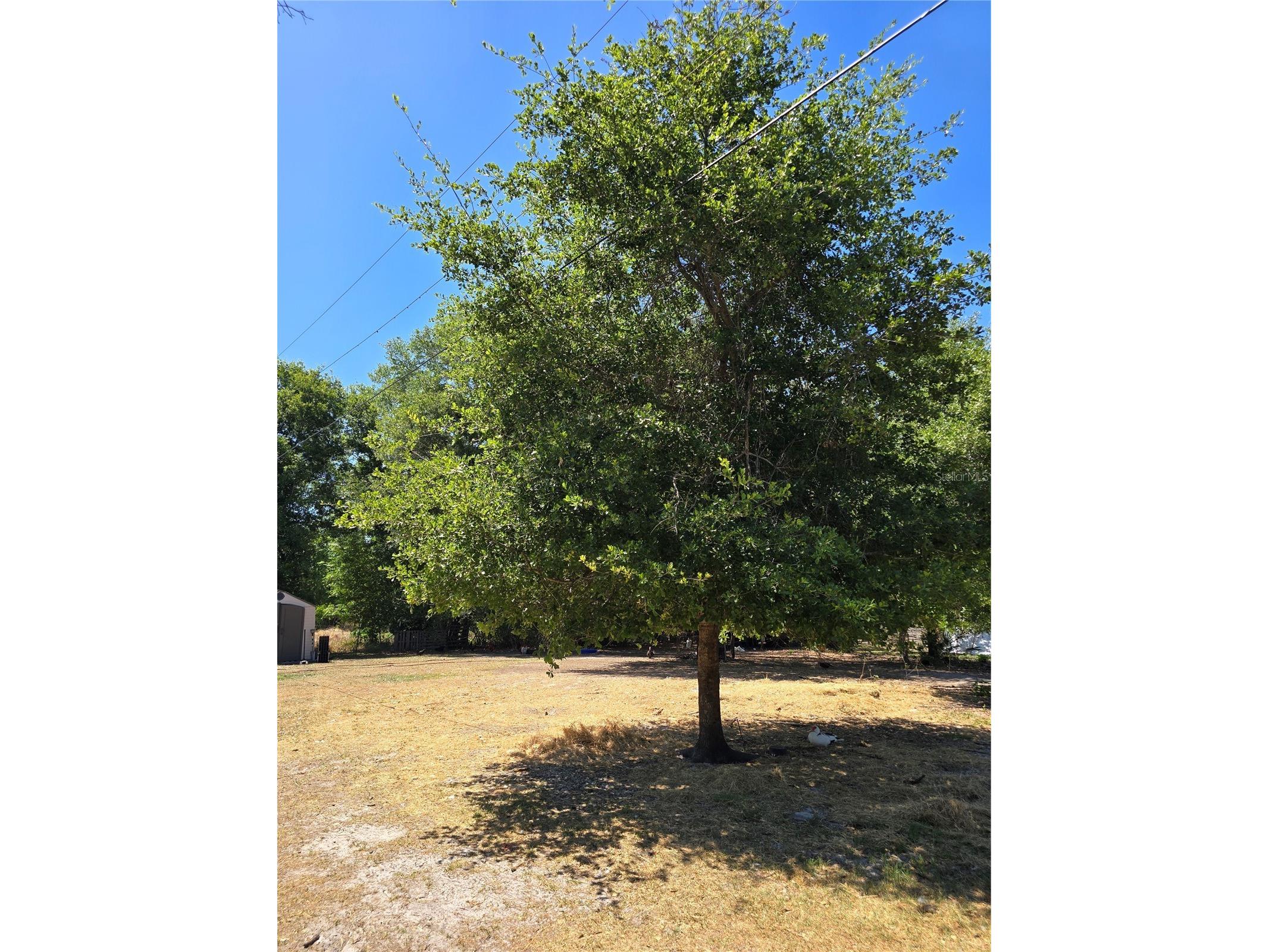 27137 Miller Road Dade City FL 33525 L4961401 image19