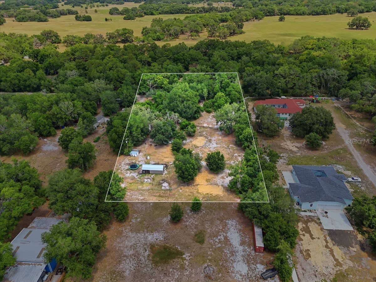 27137 Miller Road Dade City FL 33525 L4961401 image2