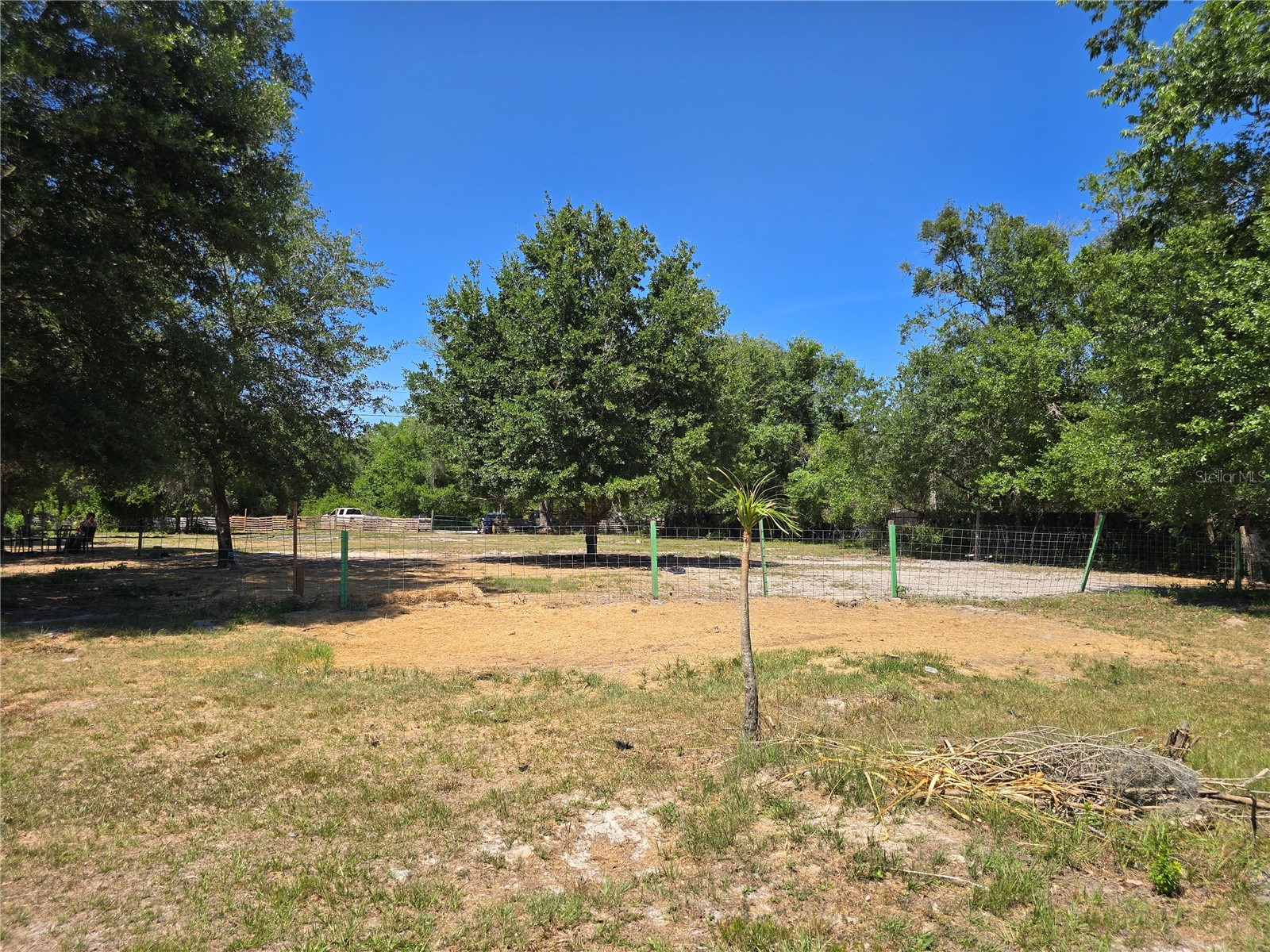 27137 Miller Road Dade City FL 33525 L4961401 image21