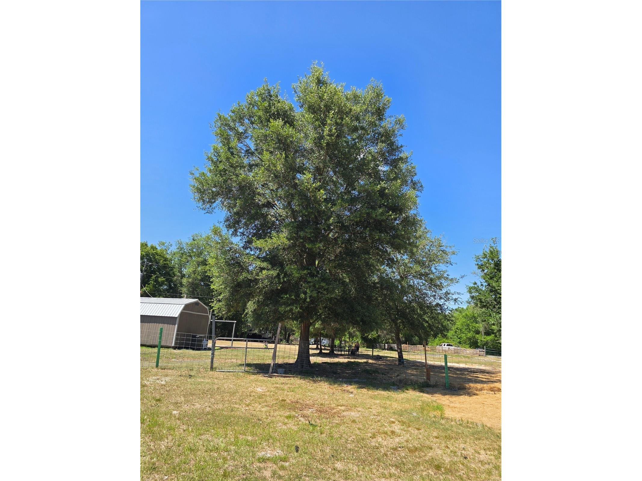 27137 Miller Road Dade City FL 33525 L4961401 image22
