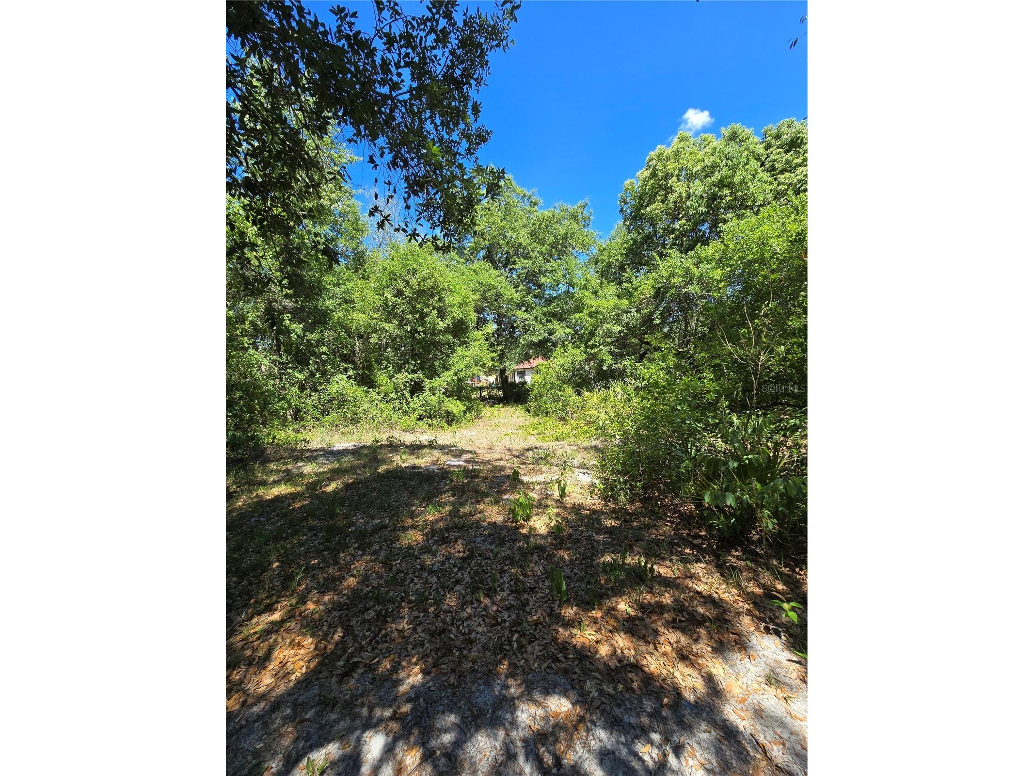 27137 Miller Road Dade City FL 33525 L4961401 image27