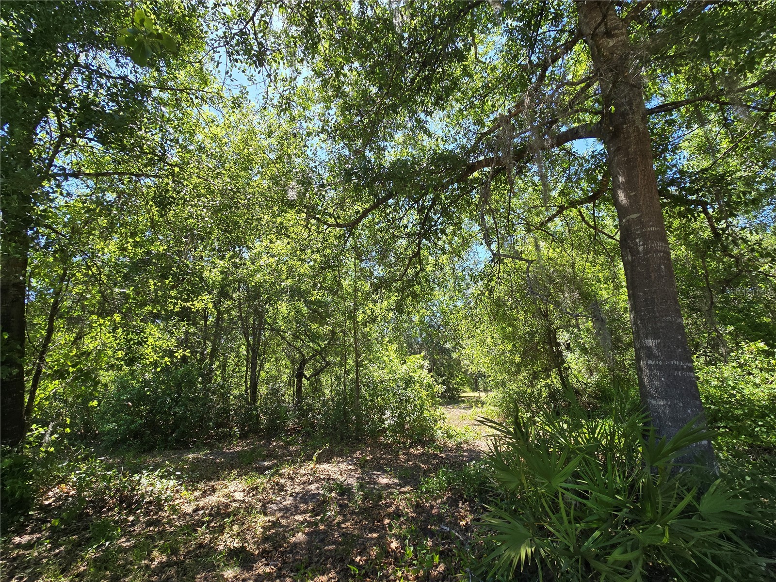 27137 Miller Road Dade City FL 33525 L4961401 image29