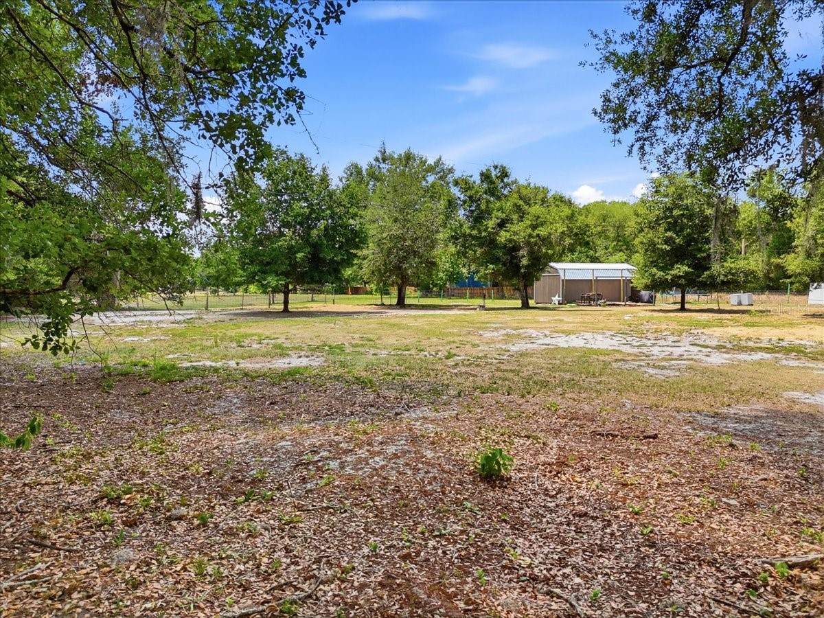 27137 Miller Road Dade City FL 33525 L4961401 image4