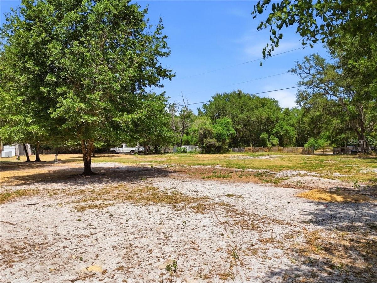 27137 Miller Road Dade City FL 33525 L4961401 image6