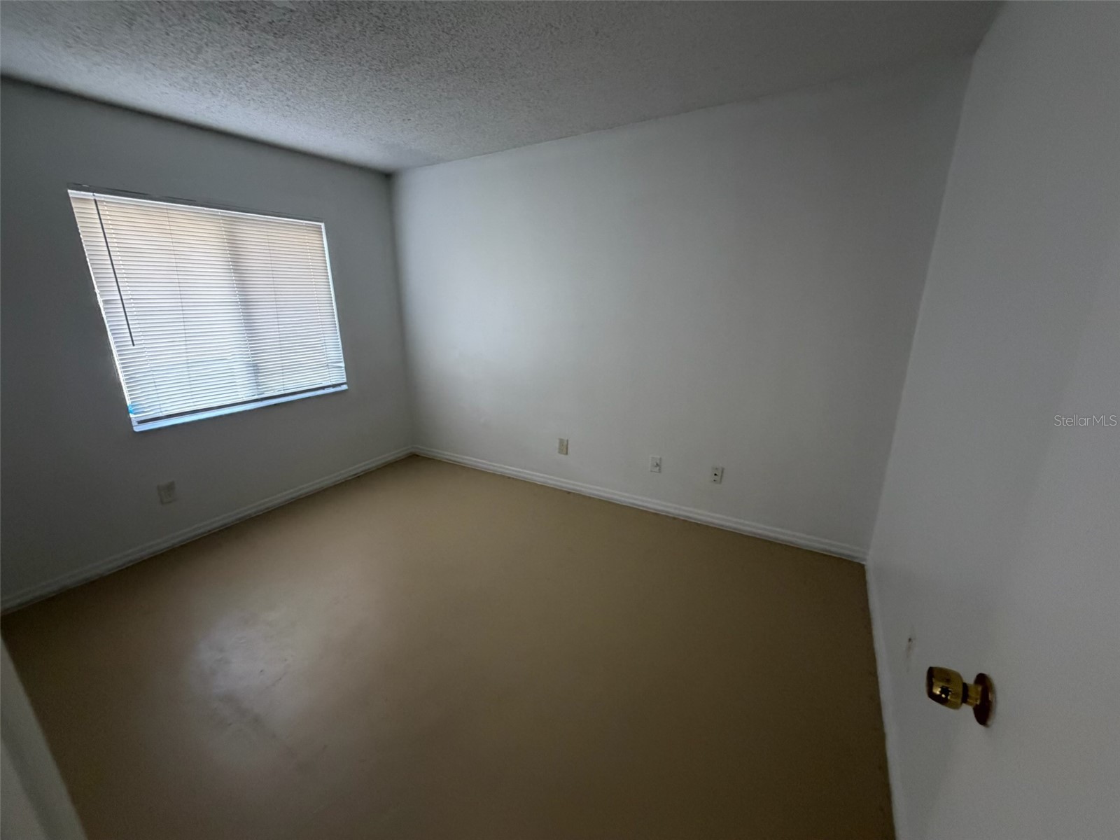 2714 Adela Avenue Orlando FL 32826 O6404006 image4