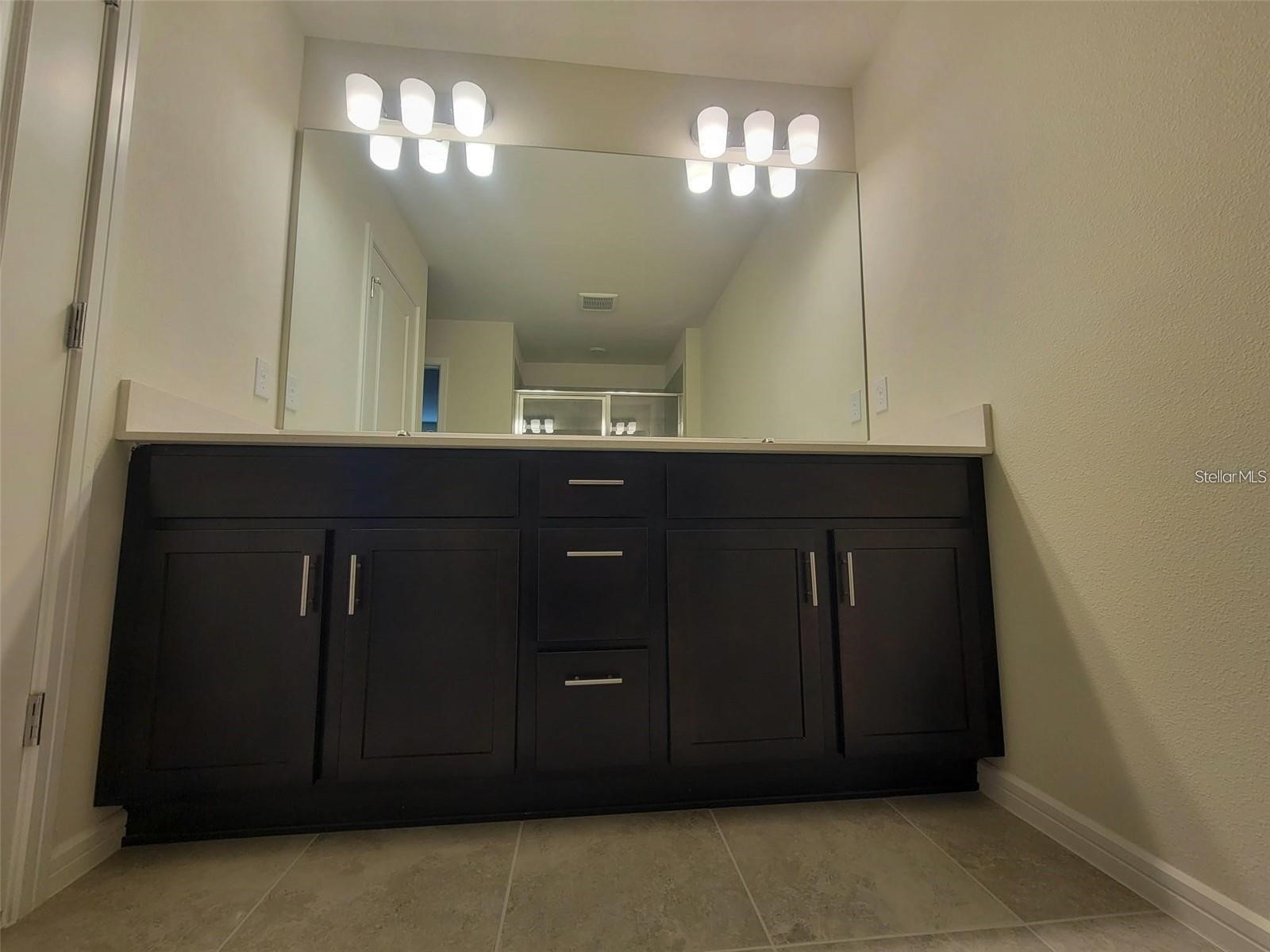 2714 Fetching Trail Davenport FL 33896 O6398875 image6