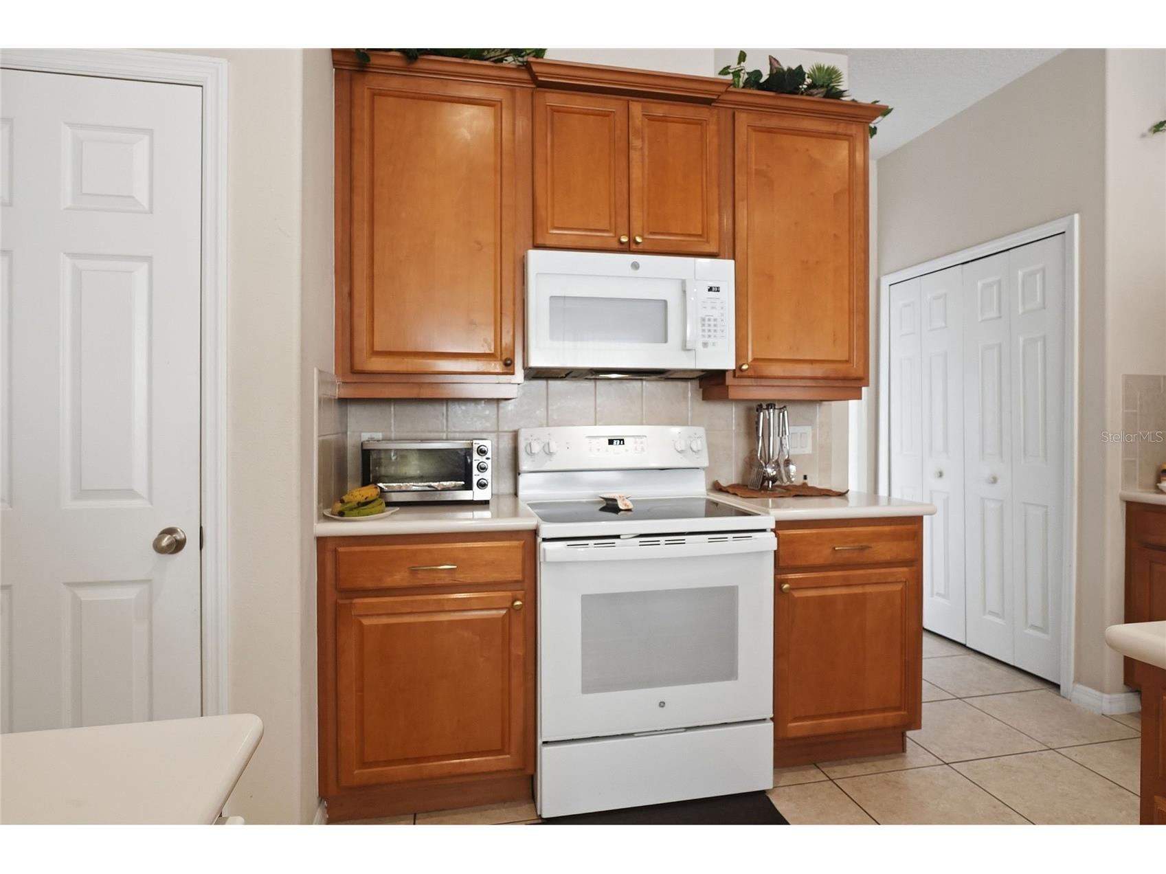 2714 Plumberry Avenue Ocoee FL 34761 O6391984 image27