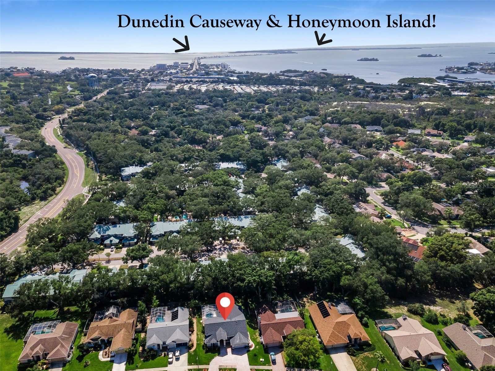 2714 Resnik Circle W Palm Harbor FL 34683 TB8513727 image52