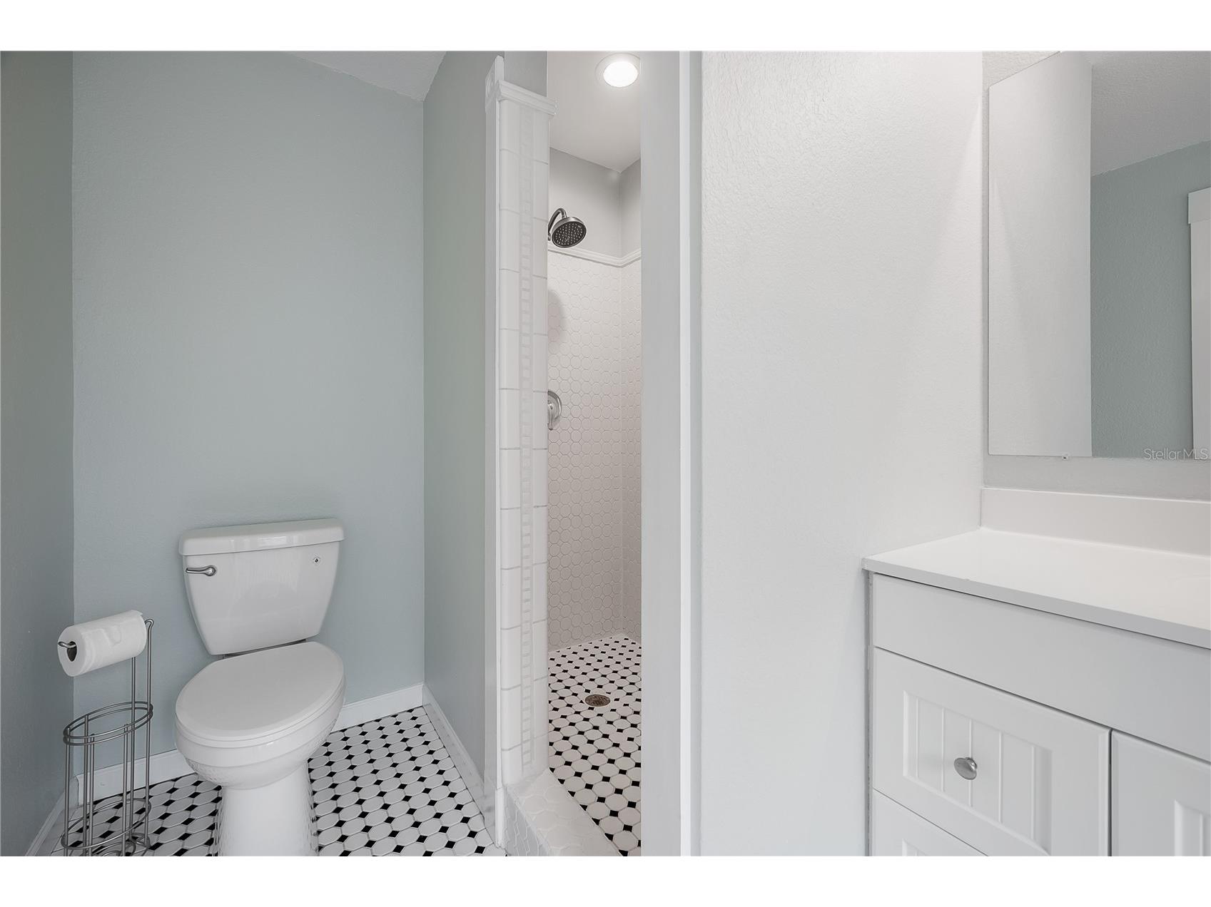 2714 W Fig Street Tampa FL 33609 TB8508906 image31