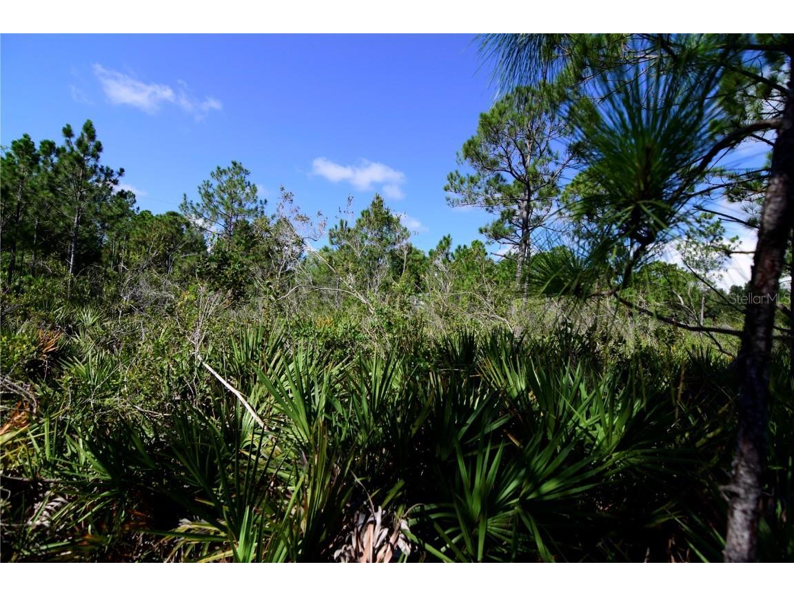 27141 Alhambra Drive Punta Gorda FL 33955 D6120576 image1