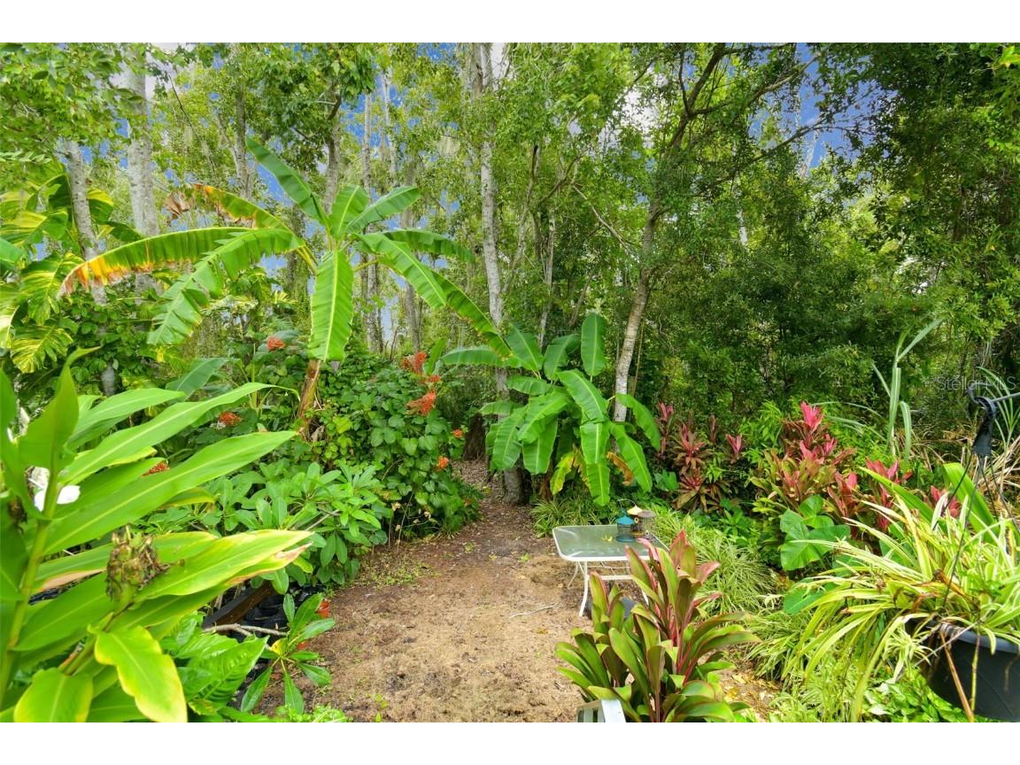 27141 La Jolla Way Wesley Chapel FL 33544 TB8435704 image29