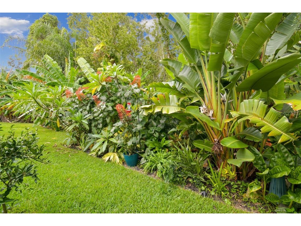 27141 La Jolla Way Wesley Chapel FL 33544 TB8435704 image3