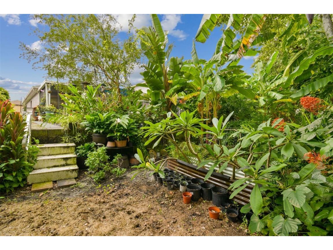 27141 La Jolla Way Wesley Chapel FL 33544 TB8435704 image30