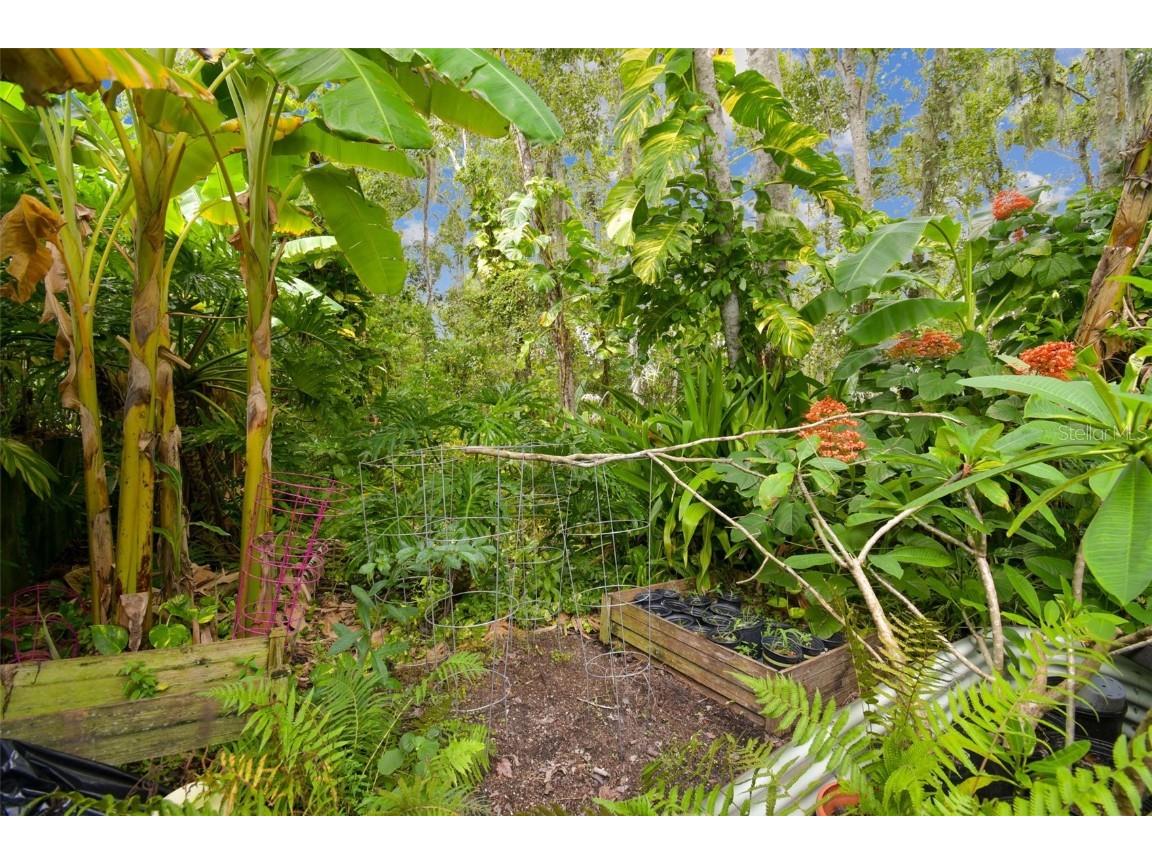 27141 La Jolla Way Wesley Chapel FL 33544 TB8435704 image31