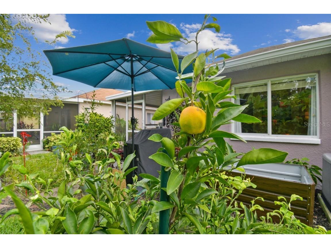 27141 La Jolla Way Wesley Chapel FL 33544 TB8435704 image33