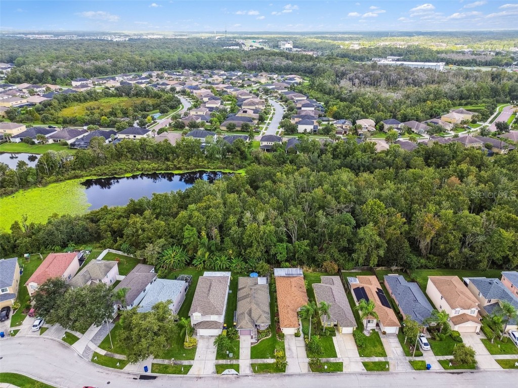 27141 La Jolla Way Wesley Chapel FL 33544 TB8435704 image37