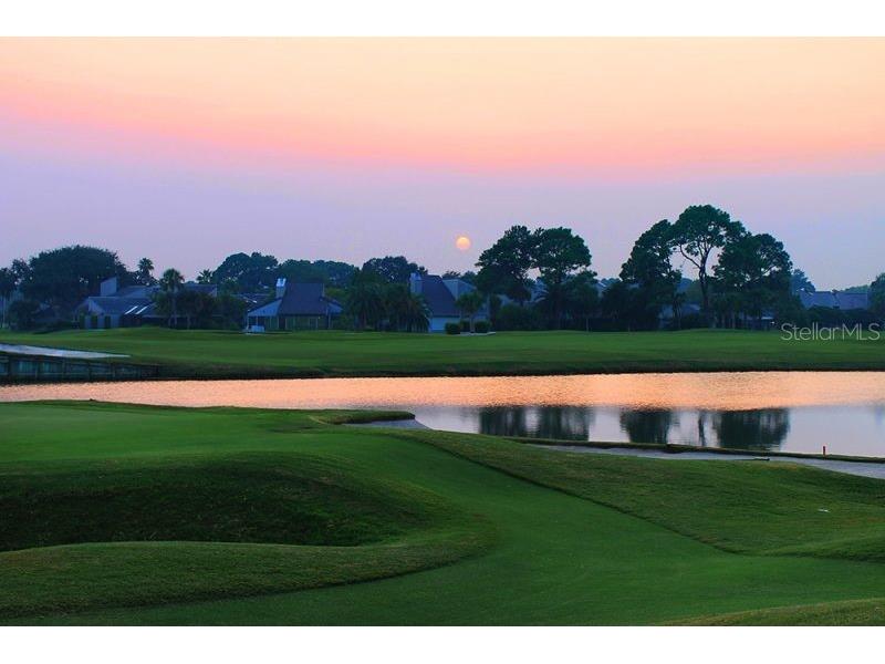 27143 Roanoke Drive Leesburg FL 34748 G5106223 image25