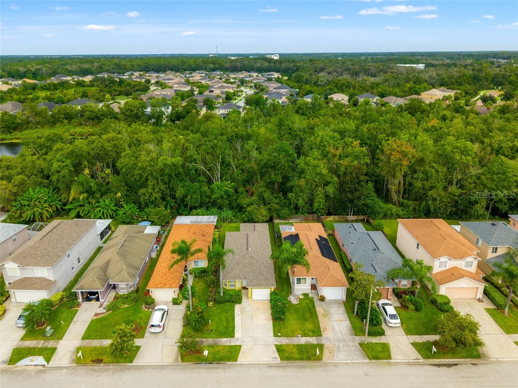 27149 La Jolla Way Wesley Chapel FL 33544 TB8427537 image2