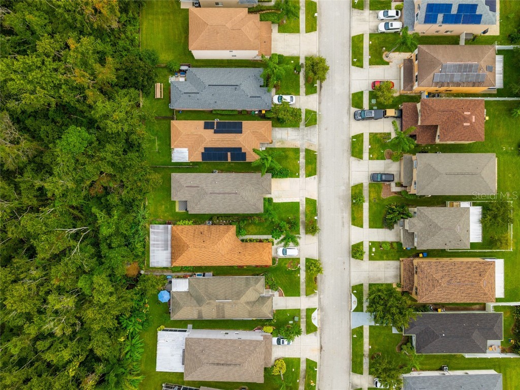 27149 La Jolla Way Wesley Chapel FL 33544 TB8427537 image25