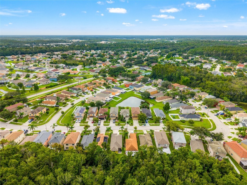 27149 La Jolla Way Wesley Chapel FL 33544 TB8427537 image26