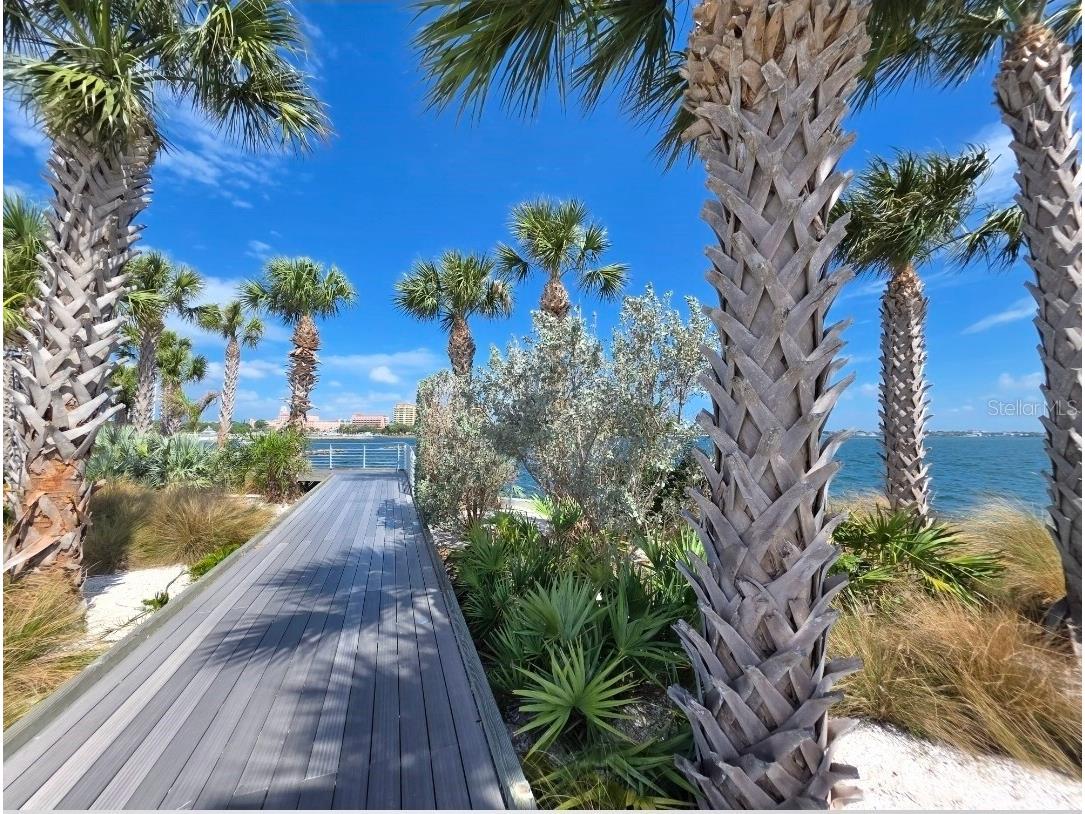 2715 5th Street S Saint Petersburg FL 33705 A4688512 image37