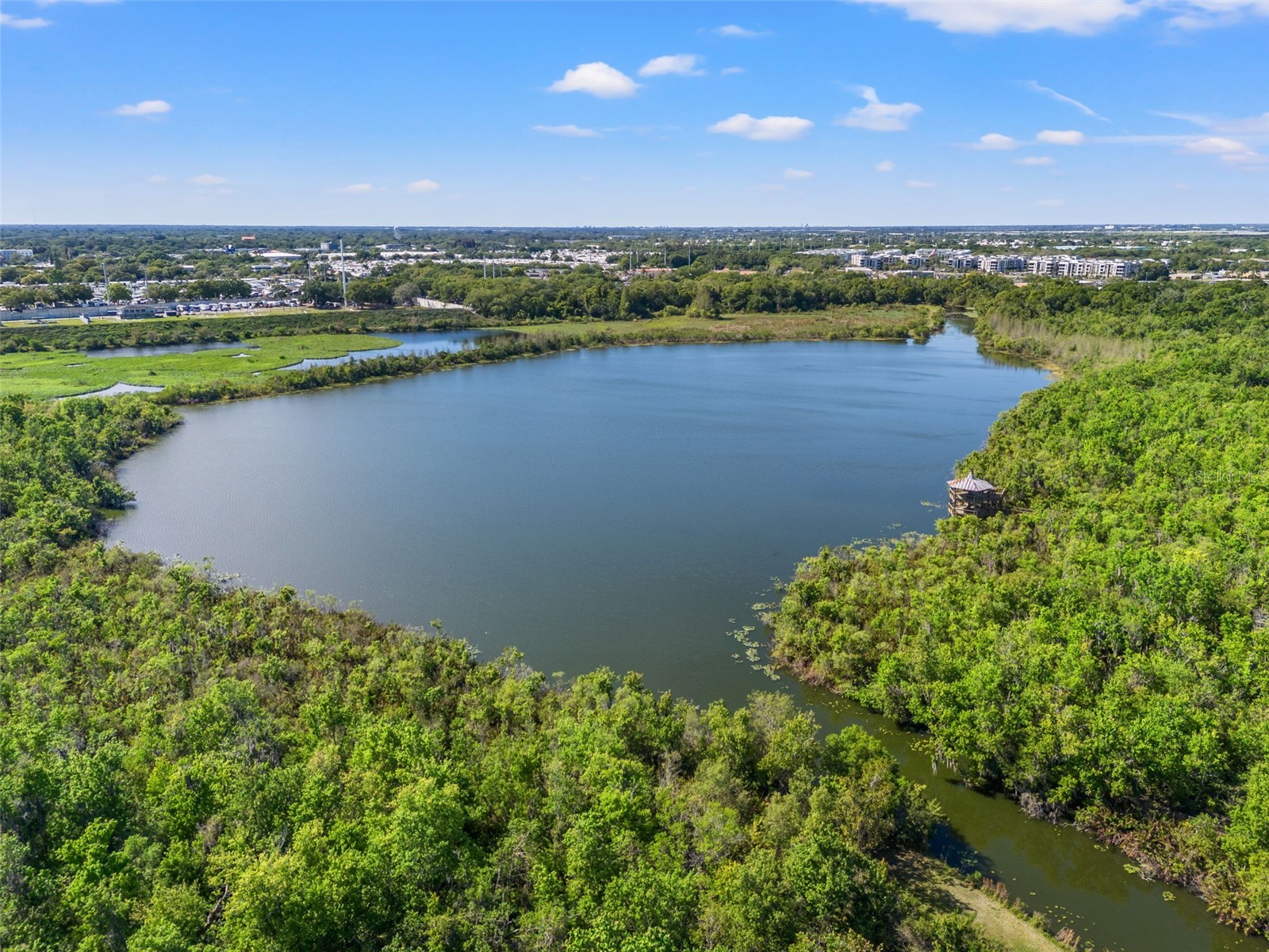 2715 63rd Terrace N #B Saint Petersburg FL 33702 TB8489273 image22