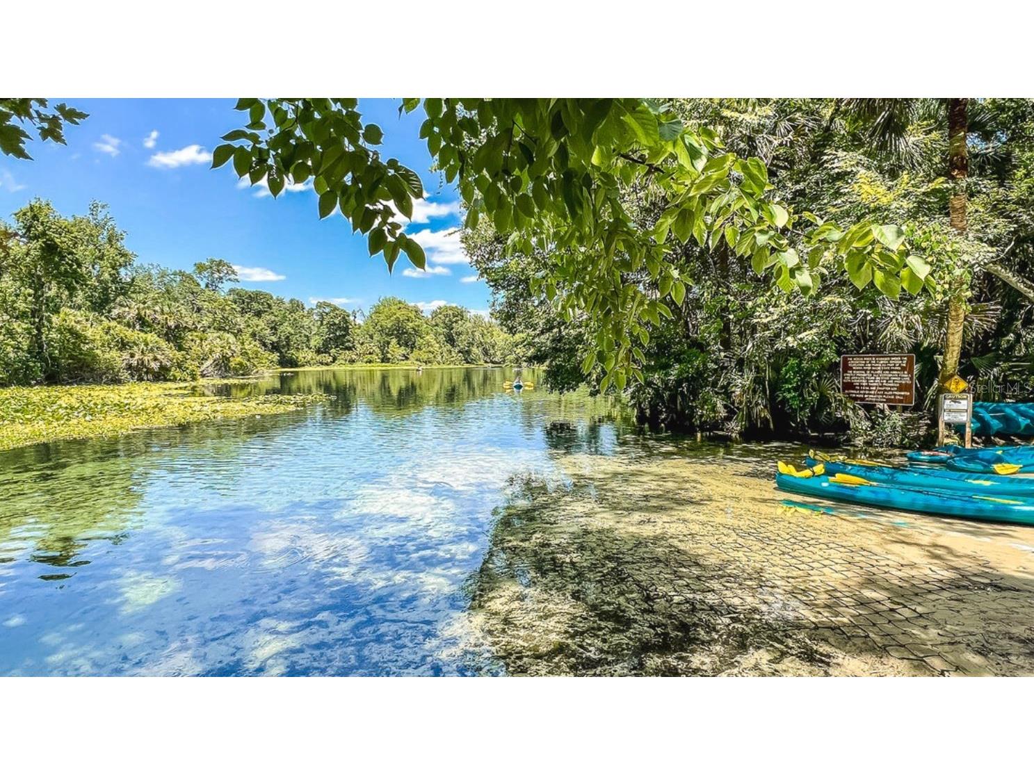 2715 Arbor Dune Avenue Apopka FL 32712 O6310541 image32