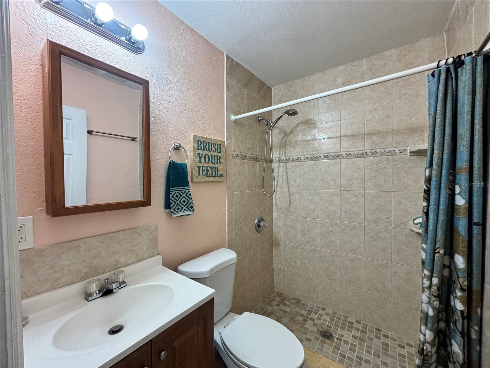 2715 Bel Aire Circle Tampa FL 33614 TB8486951 image14