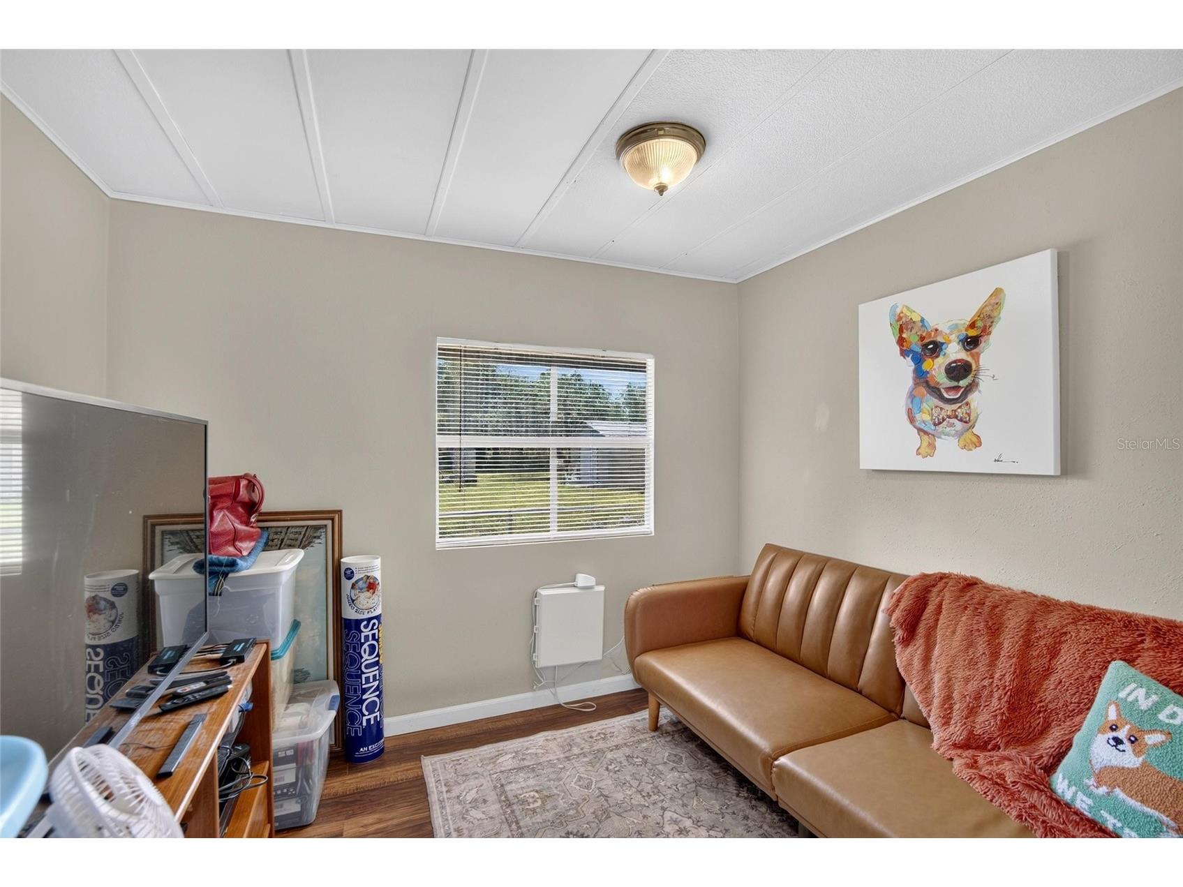2715 Eaton Avenue Eaton Park FL 33840 TB8521841 image14