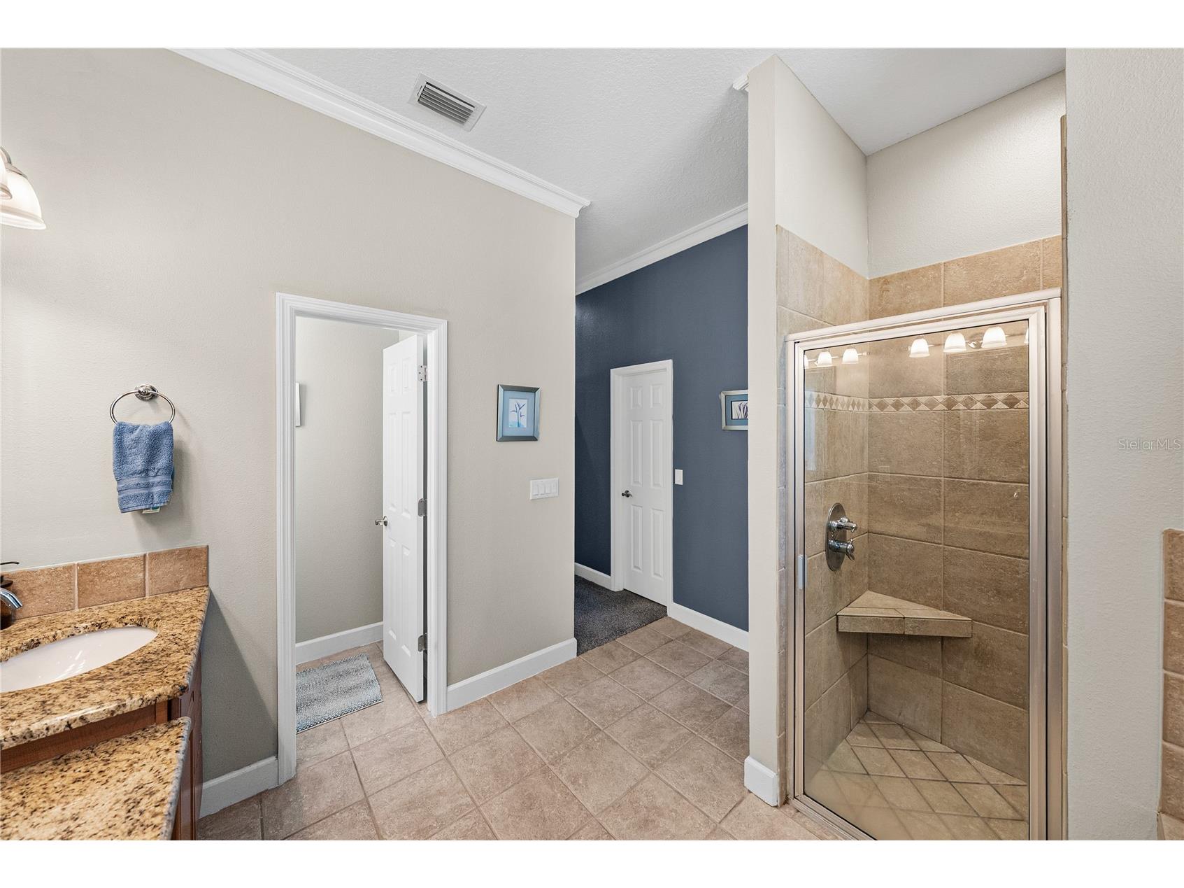 27154 Ravens Brook Road Wesley Chapel FL 33544 TB8477940 image31