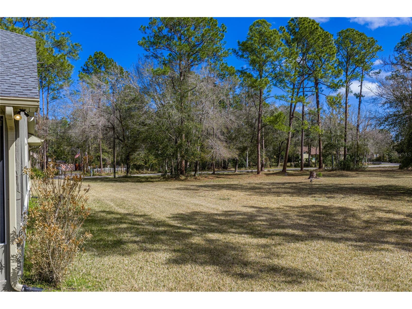 27154 Ravens Brook Road Wesley Chapel FL 33544 TB8477940 image63