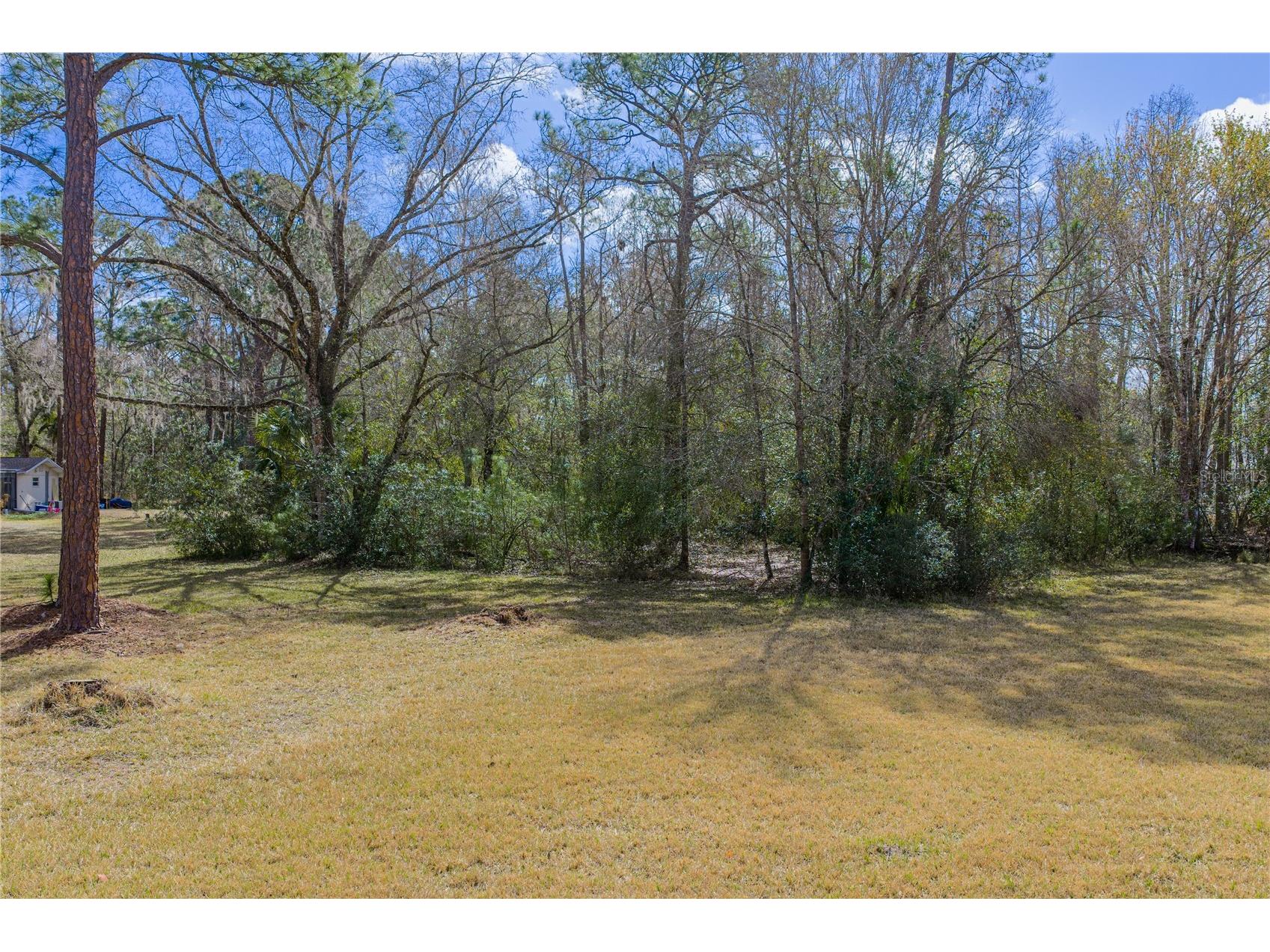 27154 Ravens Brook Road Wesley Chapel FL 33544 TB8477940 image64