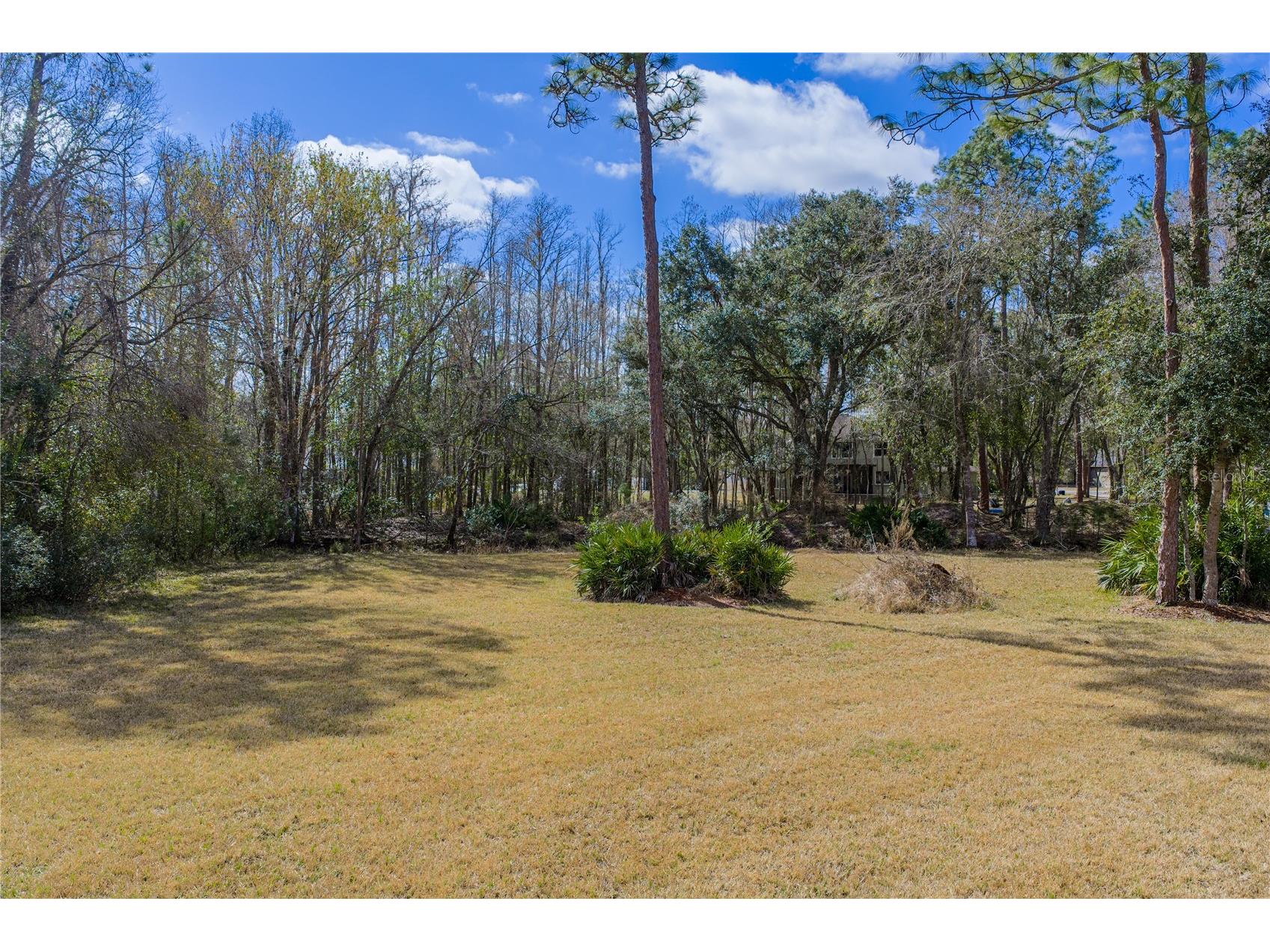 27154 Ravens Brook Road Wesley Chapel FL 33544 TB8477940 image65