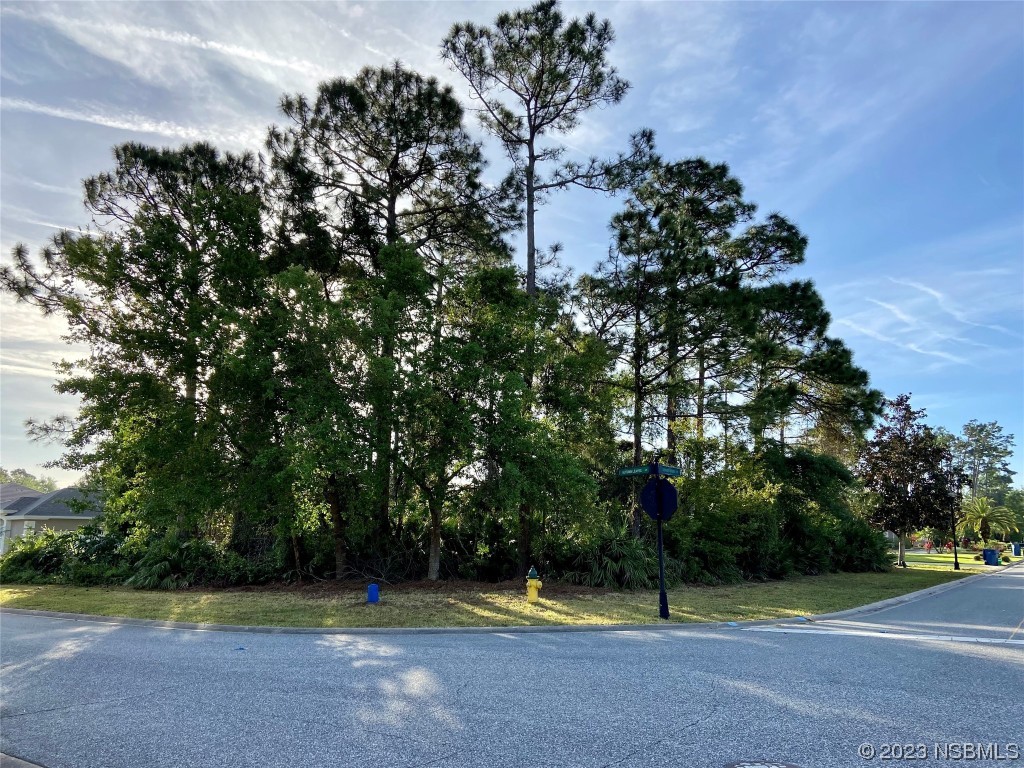 2716 Autumn Leaves Drive Port Orange FL 32128 NS1074614 image1