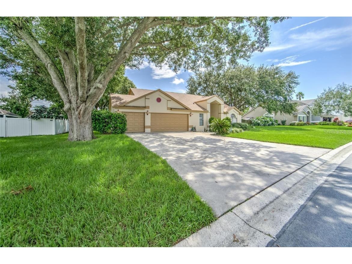 2716 Buckhorn Oaks Drive Valrico FL 33594 T3328727 image1