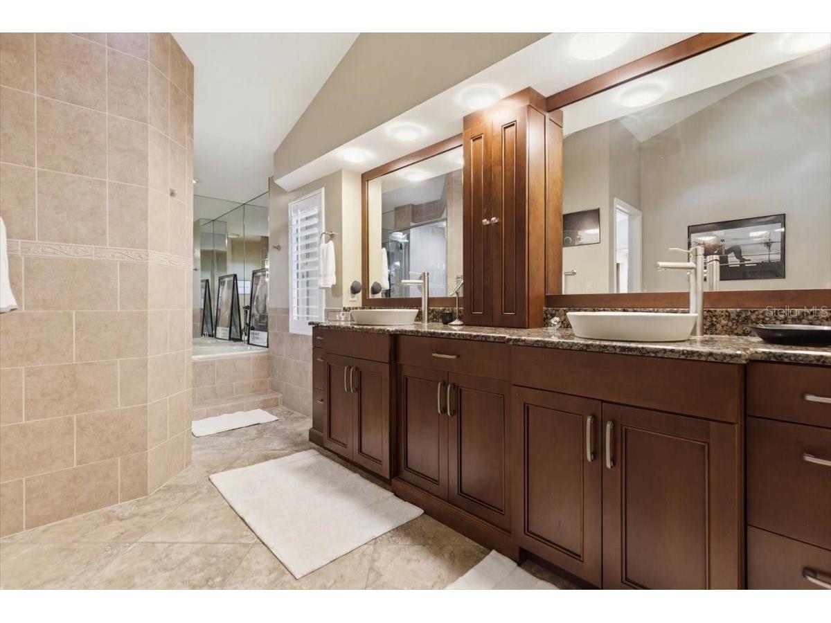 2716 Country Woods Lane Palm Harbor FL 34683 TB8505379 image20