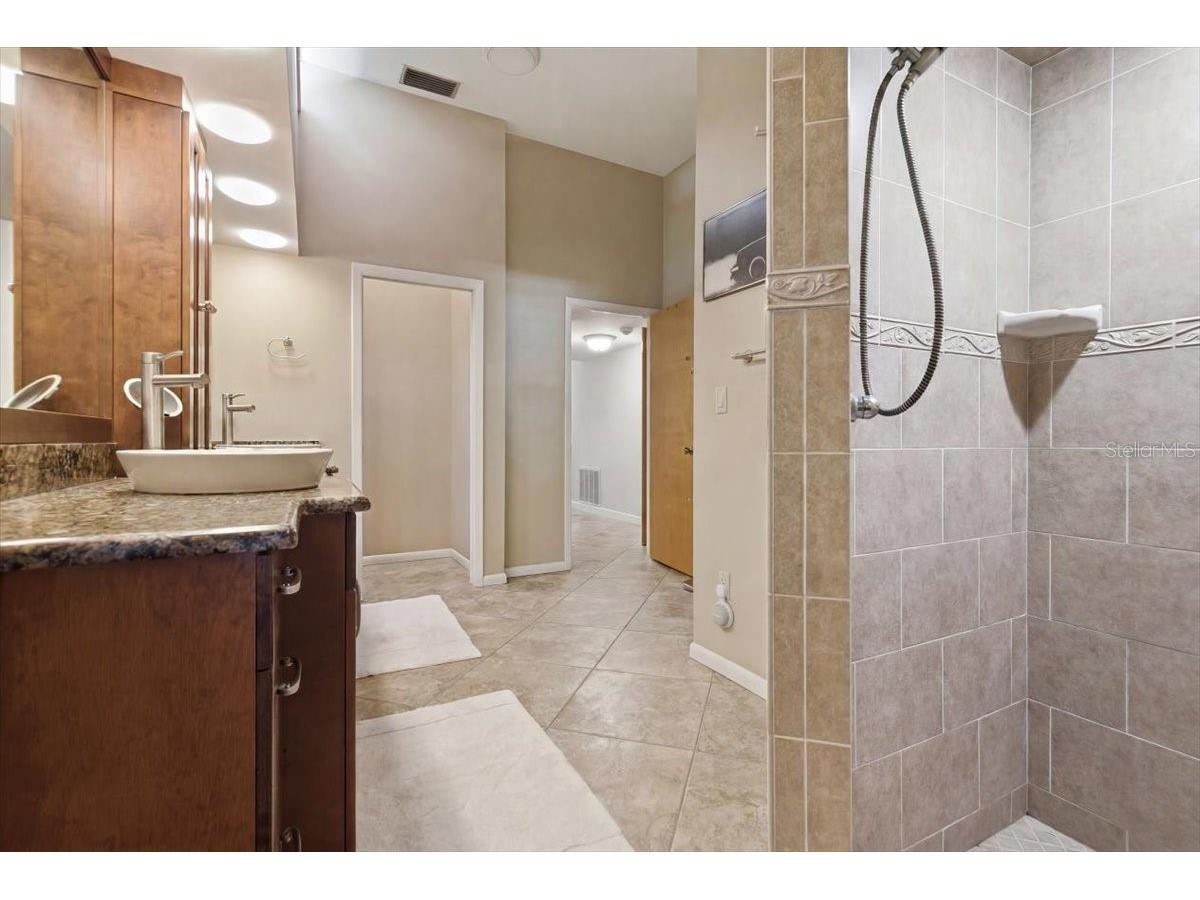 2716 Country Woods Lane Palm Harbor FL 34683 TB8505379 image21