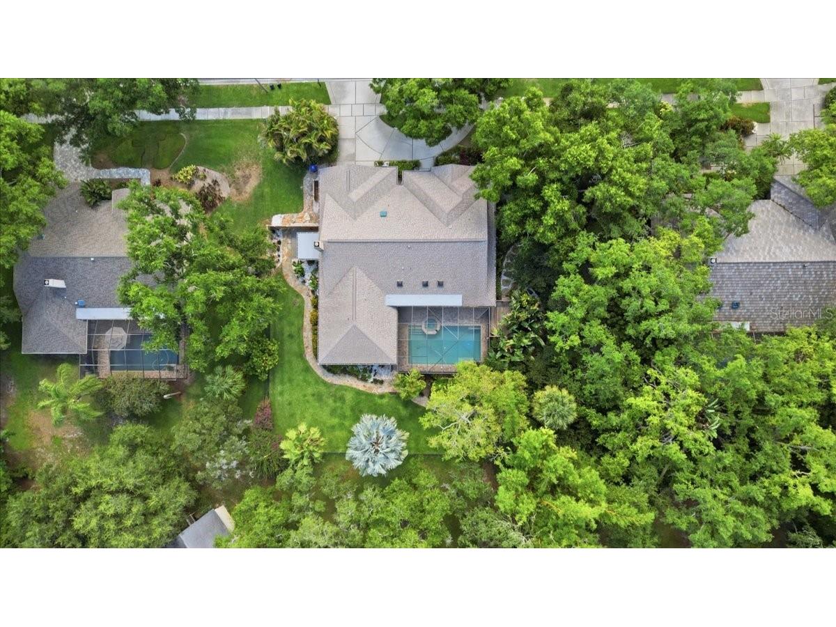 2716 Country Woods Lane Palm Harbor FL 34683 TB8505379 image45