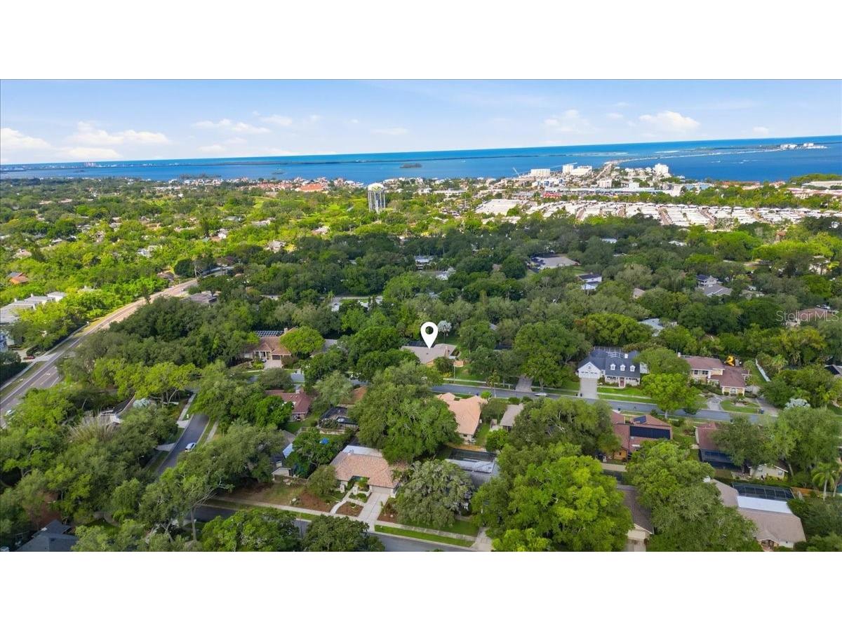 2716 Country Woods Lane Palm Harbor FL 34683 TB8505379 image46